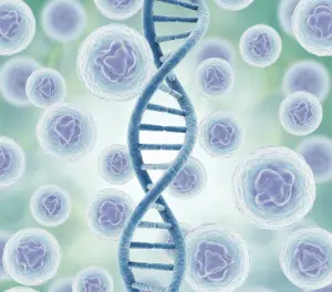 Иллюстрация структуры ДНК и иммунных клеток