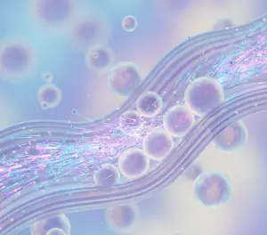 Синаптическая щель и везикулы