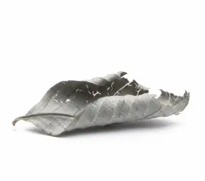 Макро фото ломкого сухого листа растения на сером фоне