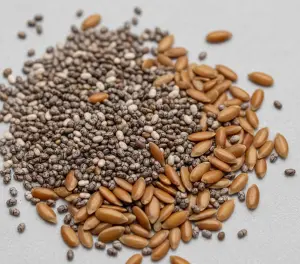 Горсть семян льна и чиа