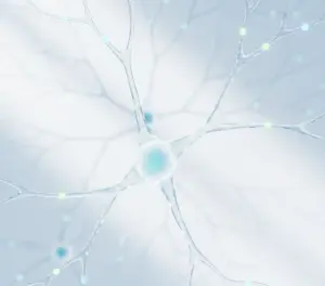 Нейронные связи и вспышки активности